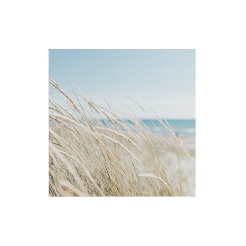 Art for the Home Buitencanvas - Strand - 50x50cm