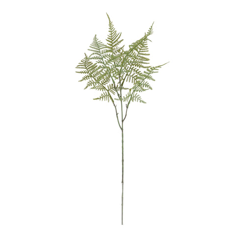 Maxifleur Asparagus Kunsttak 66cm