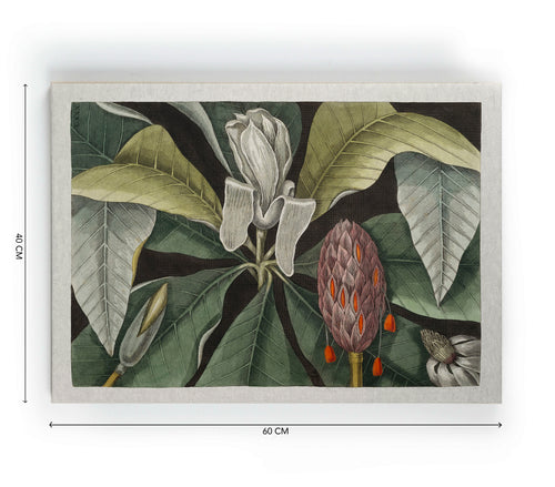 Canvas 60x40 Afdruk Paraplu Boom