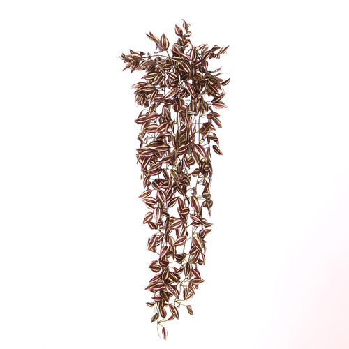 Maxifleur Tradescantia Kunsthangplant paars 90cm