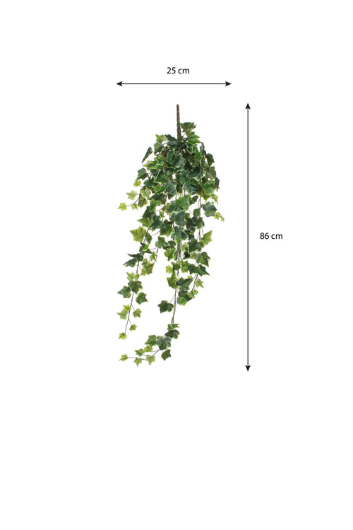 Mica Decorations Hedera Kunst Hangplant - H86 cm - Groen Bont
