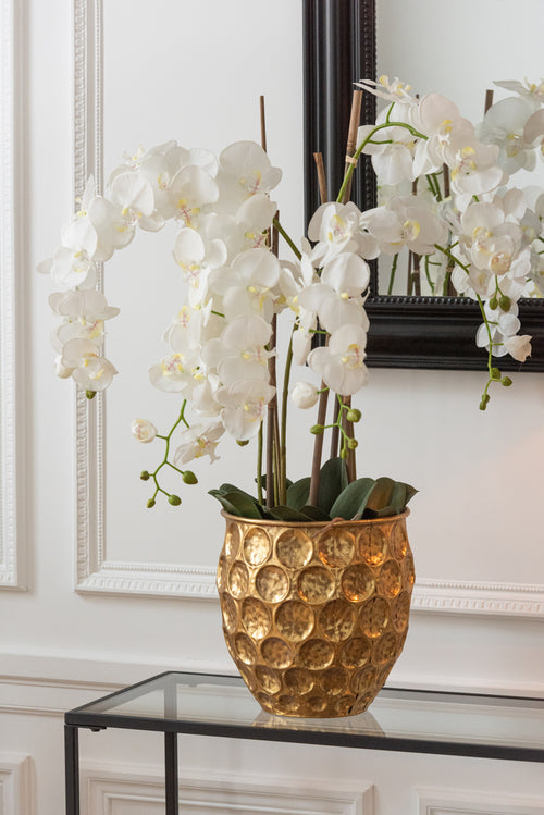 J-Line plant Orchidee In Aarde - kunststof - wit/groen - extra large