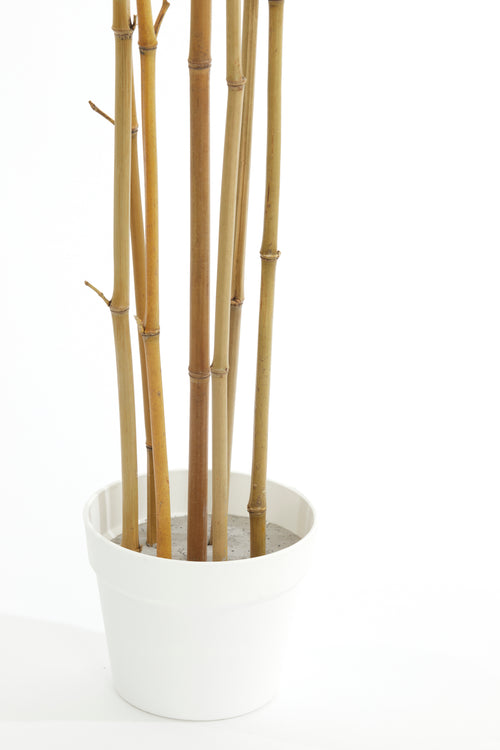 Light & Living pot BAMBOO - 70x60x180cm - bruin