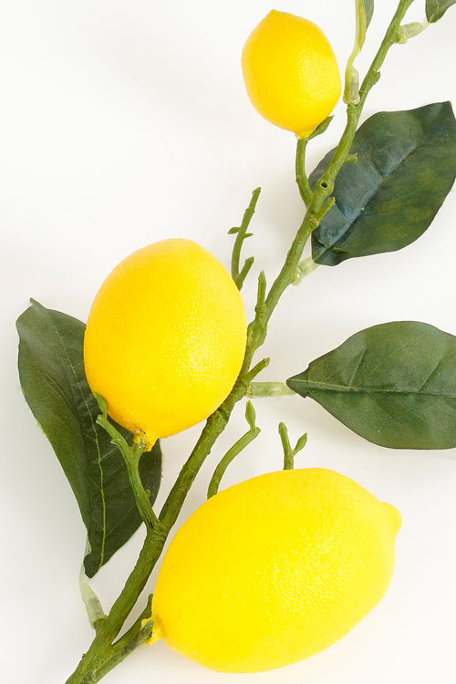 Mica Decorations Citroen Kunsttak - H104 cm - Geel - vtwonen shop