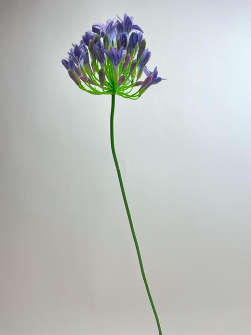 My Flowers.shop Blauwe agapanthus zijden bloem | Lengte 75 centimeter | Per stuk - vtwonen shop