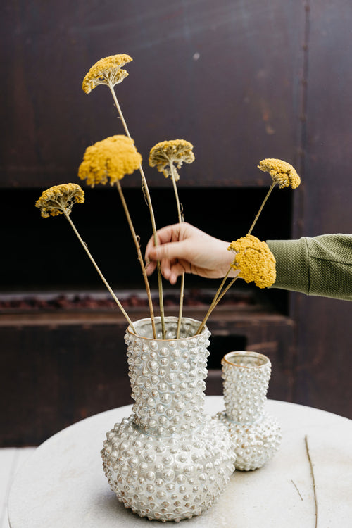 My Flowers.shop Geel naturel gedroogd Duizendblad | Geel naturelle Achillea Parker droogbloemen | 10 stelen per bos | Lengte 65 centimeter - vtwonen shop