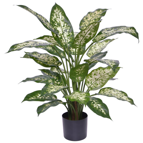 Maxifleur Dieffenbachia Kunstplant Deluxe 60cm in pot