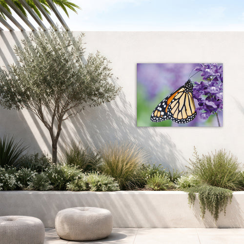 Art for the Home Buitencanvas - Vlinder - 50x70cm