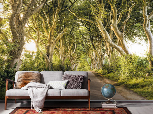 Sanders & Sanders fotobehang natuurmotief groen - 400 x 250 cm - 612514