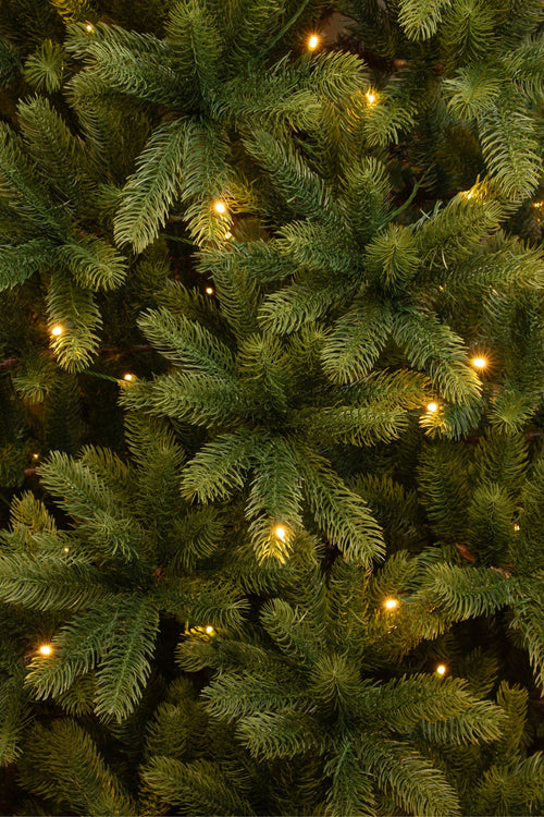 Black Box Trees Nagoya Kunstkerstboom met Warm Witte LED Verlichting - H240 x Ø138 cm - Groen - vtwonen shop