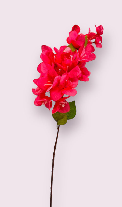 My Flowers.shop Fuchsiakleurige bougainvillea zijden bloem | Lengte 80 centimeter | Per stuk - vtwonen shop