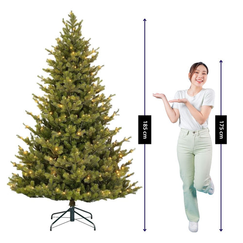 Black Box Trees Clive Kerstboom Groen - Kunstboom met Warm Witte LED's en Scharnierconstructie voor Snel Opzetten - Kerstversiering voor Binnen - H215