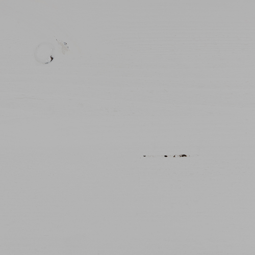 WOOOD meidenkast Eva - Grenen - Mist - 150x93x40 - vtwonen shop