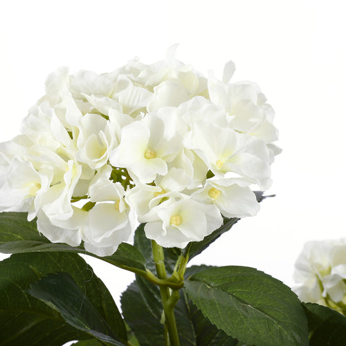 Mica Decorations Hortensia Kunstplant in Bloempot Stan - H45 x Ø45 cm - Wit
