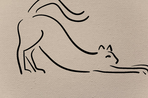 Canvas 60x40 Afdruk Kat - vtwonen shop