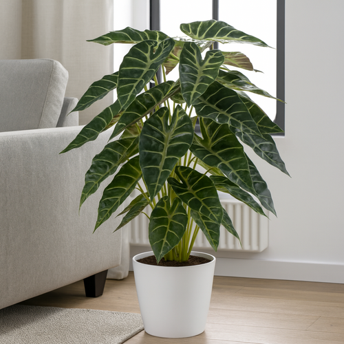 Flourify kunstplant - Alocasia - 68 cm - vtwonen shop