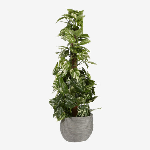 Mica Decorations Jorck Plantenmand - Set van 3 - H24 x Ø26 cm - Papier - Grijs
