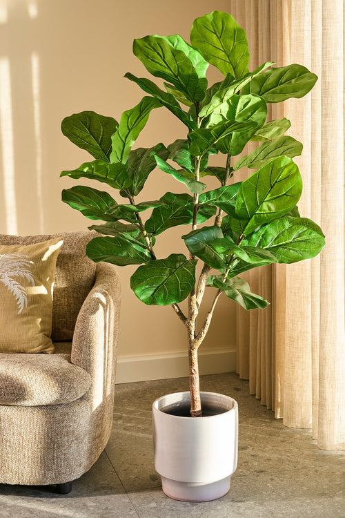 Mica Decorations Ficus Lyrata Kunstplant in Pot - H150 x Ø50 cm - Groen - vtwonen shop