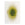 Ecorugs vloerkleed Gold Moss - goud - 200x280cm