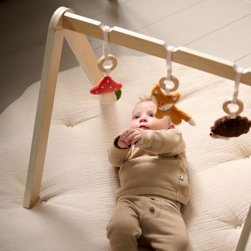 Petite Amélie Babygym FORÊT