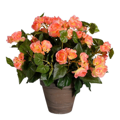 Mica Decorations Begonia Kunstplant in Bloempot Stan - H37 x Ø36 cm - Zalmroze