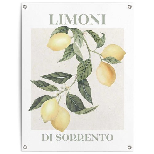 Reinders Limoni tuinposter -  geel - tuin - 80x60cm