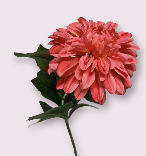 My Flowers.shop Roze dahlia zijden bloem | Lengte  70 centimeter | Per stuk - vtwonen shop