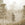 Sanders & Sanders fotobehang bosrijk landschap lichtgrijs - 375 x 270 cm - 601446