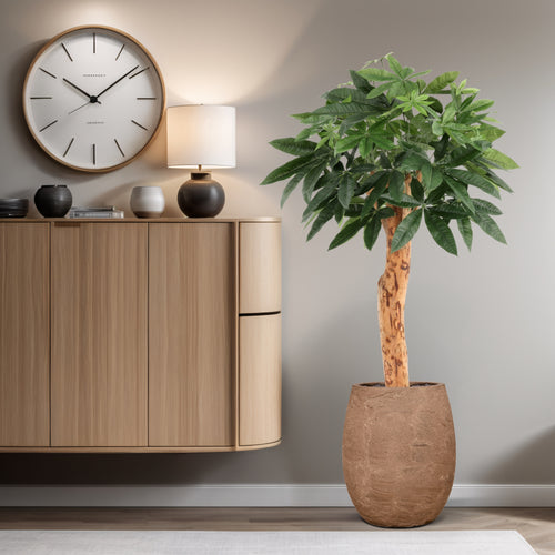 Maxifleur Pachira Kunstplant Deluxe 100cm