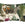 MOOOI decoratiekussen Menagerie - 40x60 / 16x24 Inch cm - ivoor