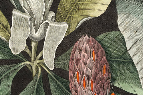 Canvas 60x40 Afdruk Paraplu Boom