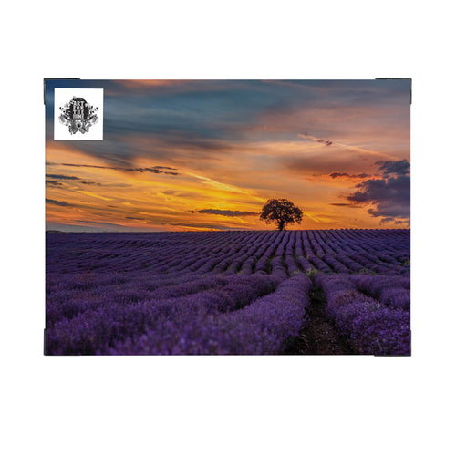 Art for the Home Buitencanvas - Lavendelveld bij zonsondergang - 50x70cm
