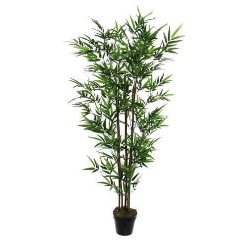 Mica Decorations Bamboe Kunstplant - H155 x Ø90 cm - Groen