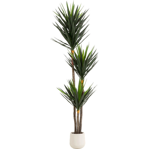 Kare Design Kunstplanten Yucca 250cm