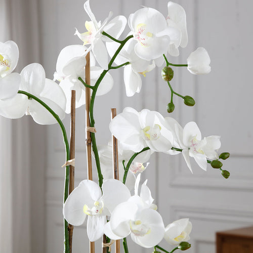 Sia Deco Orchidee Compositie Met Vaas - wit - goud - H69 - vtwonen shop