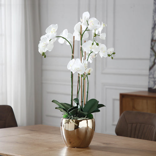 Sia Deco Orchidee Compositie Met Vaas - wit - goud - H69 - vtwonen shop