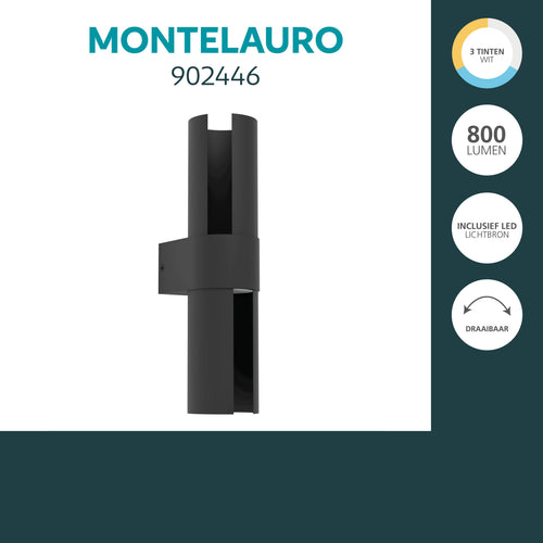EGLO wandlamp buiten Montelauro - zwart