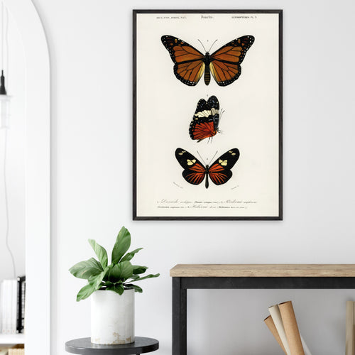Artfulprints Poster Charles Dessalines d'Orbigny - Butterfly   - A4 21x29.7 cm - Bruin