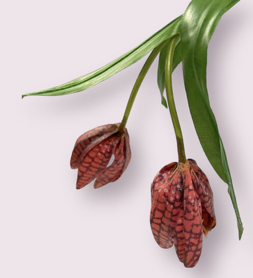 My Flowers.shop Fuchsiakleurige fritillaria zijden bloem | Lengte 50 centimeter | Per stuk - vtwonen shop