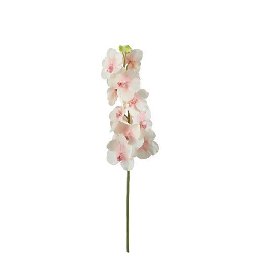 Sia Deco Orchidee Bandailan Steel Kunstmatig - roze en wit - H66 - vtwonen shop