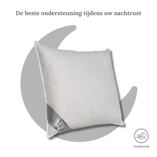 Ten Cate boxkussen - 3-kamer eendendons - 50x60
