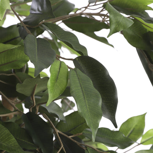Mica Decorations Ficus Kunstplant - H150 x Ø85 cm - Groen