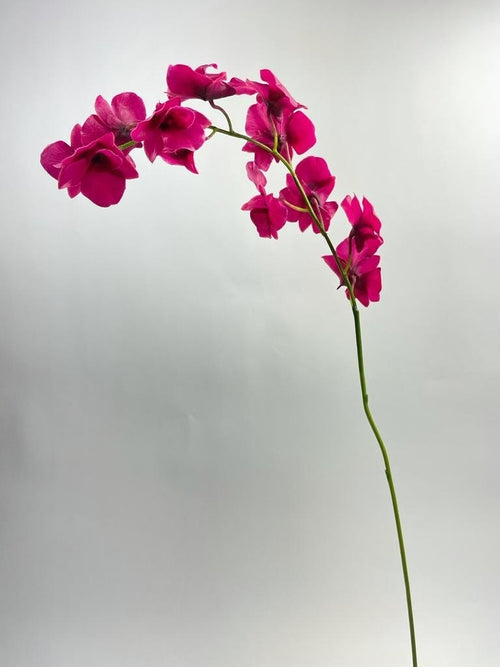 My Flowers.shop Roze orchidee zijden bloem | Lengte  90 centimeter | Per stuk - vtwonen shop