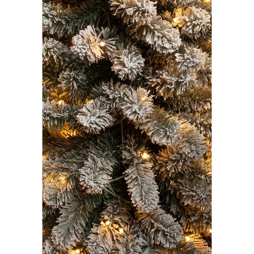 Black Box Trees Charlton Smalle Kunstkerstboom met Warm Witte LED Verlichting - H260 x Ø63 cm - Groen Frosted