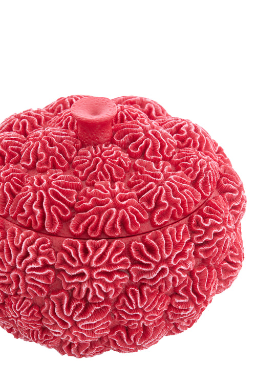 Light & Living opbergmand Coral - rood - 17x17x16 cm