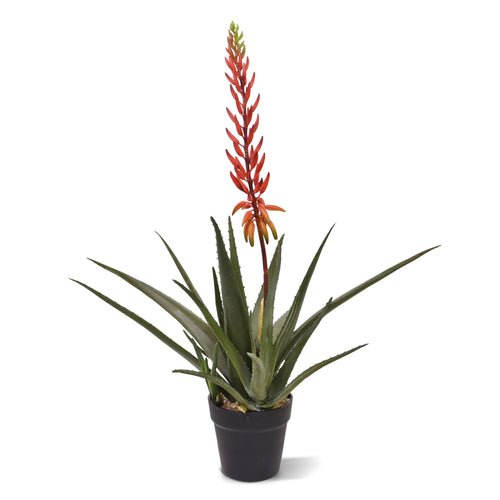 Maxifleur Aloe Vera Kunstplant 75cm rood