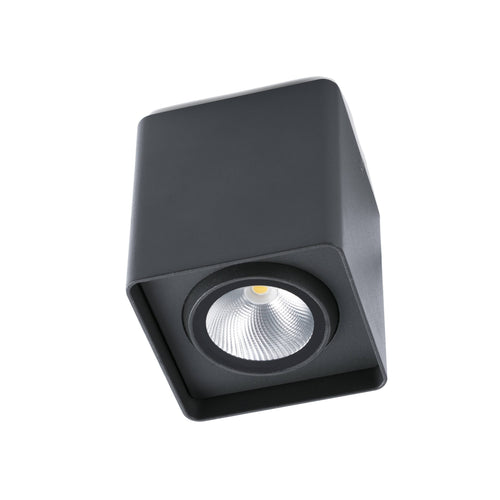 Faro Tami - LED Outdoor Opbouw Plafondlamp Donkergrijs IP54