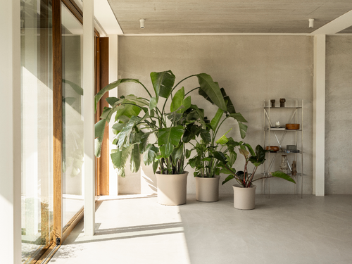 elho june tulip 40 balanced beige | Bloempot |Premium statementdesign