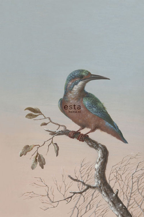 ESTAhome fotobehang ijsvogel op tak avondrood - 186 x 279 cm - 158888