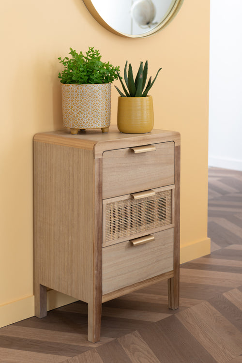 J-Line vetplant/Aloe Vera/Lotus + Pot - kunststof - groen/melamine - small - 3 stuks